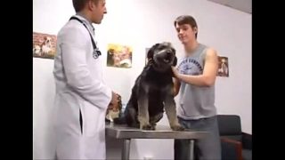 Blowjob gay com veterinário